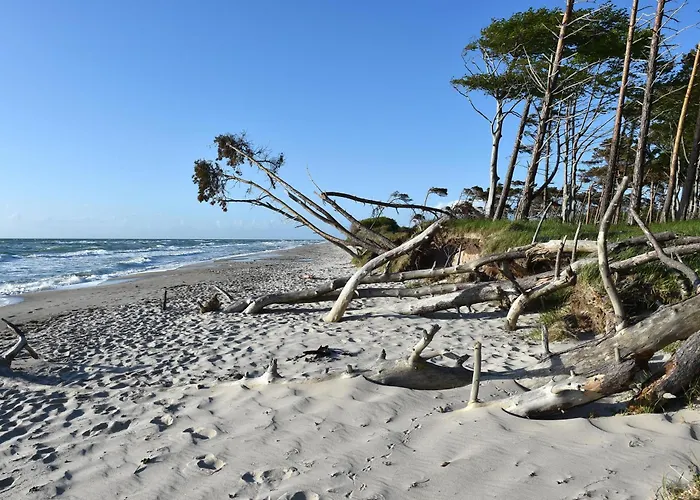 Strand Zingst