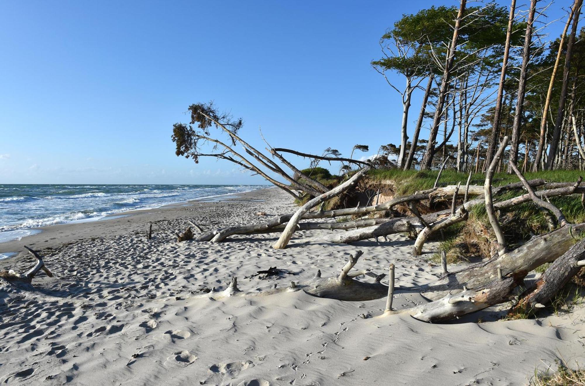 Strand Zingst Zingst