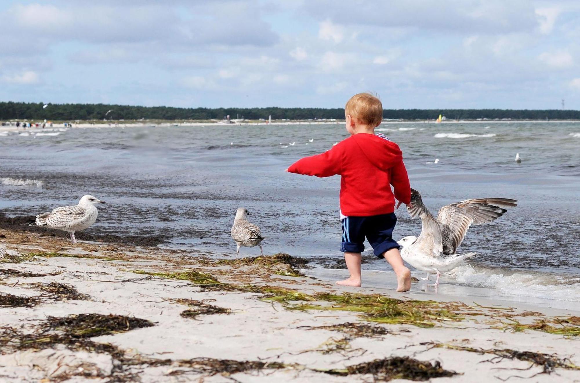 Strand Zingst Apartment *